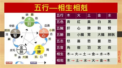 土剋什麼|五行相剋是什麼？五行平衡與補救秘訣完整教學 